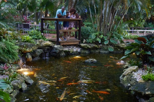 A couple admires colorful koi fish in a serene garden pond surrounded by lush greenery and soft lighting.