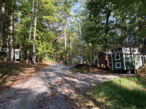 A gravel road winds through a wooded area with small cabins nestled among the trees. Sunlight filters through the leaves.