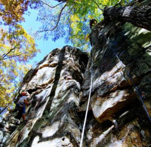 A climber ascends a rocky cliff surrounded by vibrant trees under a clear blue sky.
