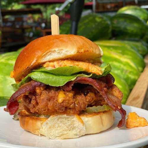A close-up of a crispy chicken sandwich with bacon, lettuce, and pickles on a toasted bun, set against a green background.