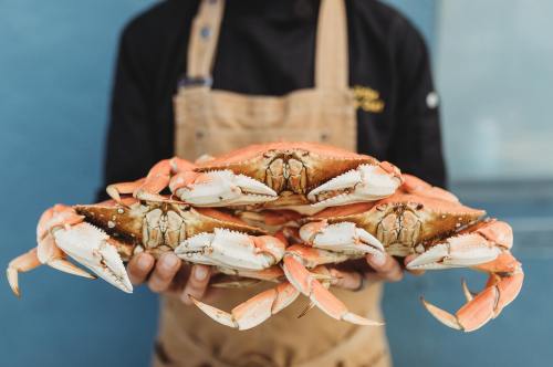 A person in an apron holds four large crabs with orange shells against a blue background.
