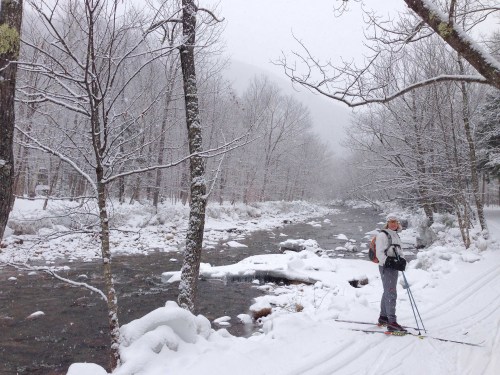 A skier stands by a snowy riverbank, surrounded by snow-covered trees and a misty winter landscape.