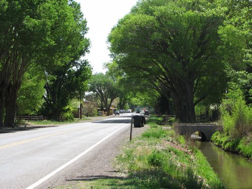 A quiet country road lined with large trees, leading to a small bridge over a stream on a sunny day.