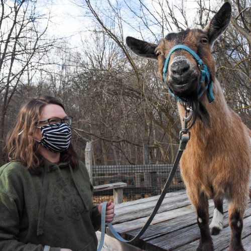 A person in a mask stands next to a goat wearing a halter, surrounded by trees in a natural setting.