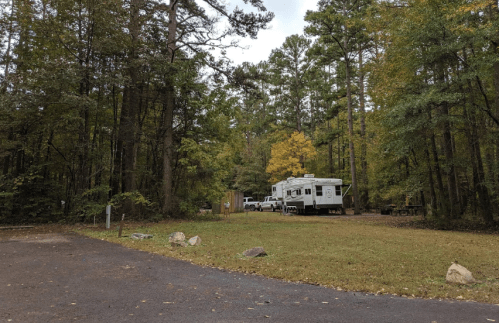 A campsite in a wooded area with an RV parked among trees and a gravel road leading into the site.