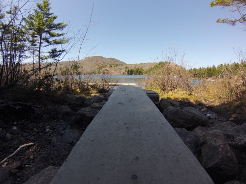 A wooden path leads to a serene lake, surrounded by trees and distant mountains under a clear blue sky.