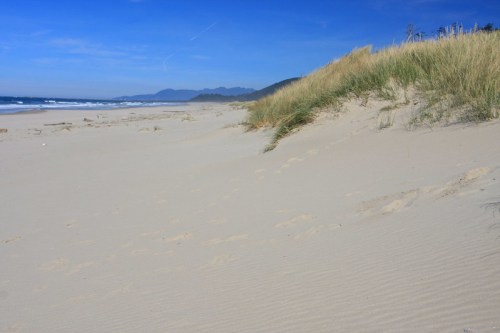 A sandy beach with gentle dunes, grass, and a clear blue sky, mountains visible in the distance.