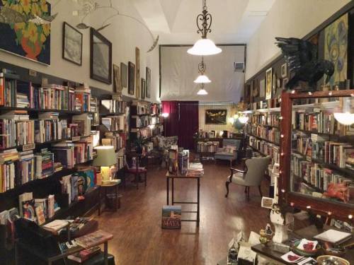 A cozy bookstore with wooden floors, bookshelves lining the walls, and warm lighting creating an inviting atmosphere.