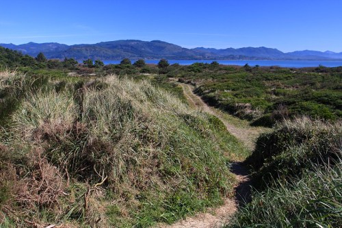 A scenic landscape featuring a grassy path leading to a lake, surrounded by mountains and clear blue skies.