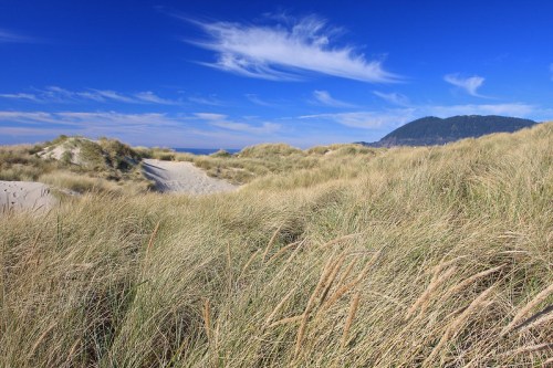 A sandy dune landscape with tall grass under a bright blue sky and wispy clouds, overlooking a distant mountain.
