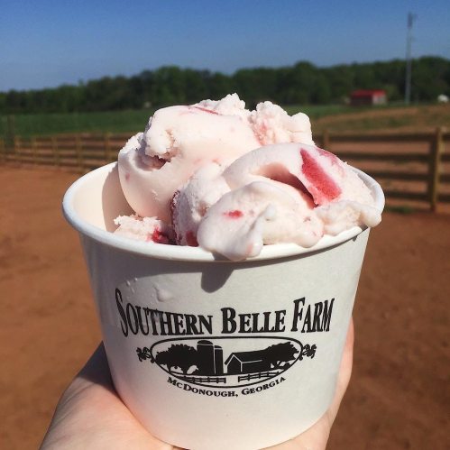 A hand holding a cup of strawberry swirl ice cream from Southern Belle Farm, with a sunny outdoor farm background.