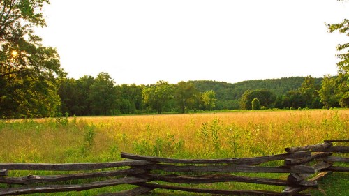 A serene landscape featuring a grassy field bordered by a rustic wooden fence and trees in the background.