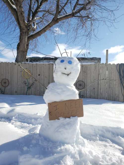 A snowman with blue eyes and twig arms holds a sign that says, "I NEED COFFEE," in a snowy yard.