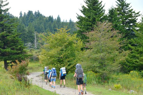 A group of hikers with backpacks walking along a trail surrounded by trees and greenery.