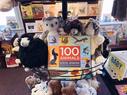 A display of plush animals surrounding the book "100 Animals" by Steve Jenkins on a rotating stand in a bookstore.