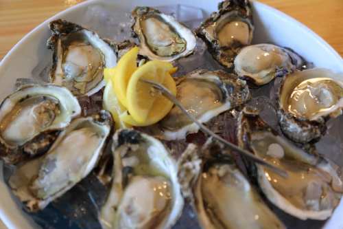 A plate of fresh oysters on ice, garnished with lemon slices and a toothpick.