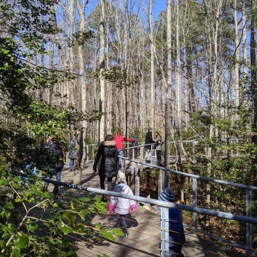 A group of people walking on a wooden boardwalk through a forested area with trees and blue sky.
