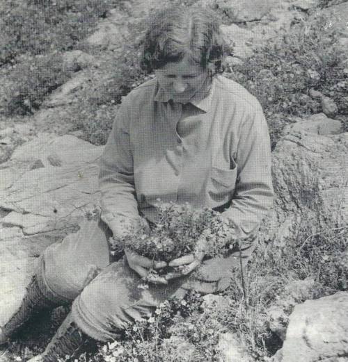 A woman sits on rocky ground, holding a bundle of plants, focused on her task in a natural setting.