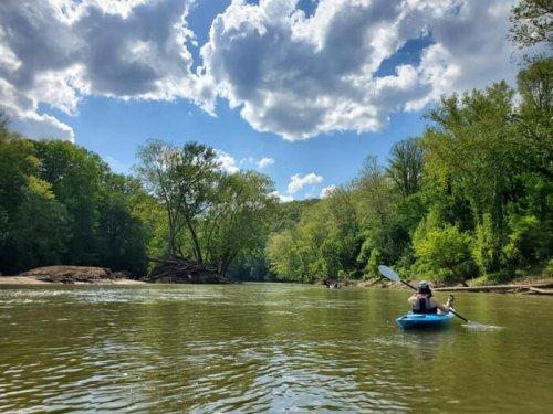 A person kayaking on a calm river surrounded by lush green trees and a bright blue sky with fluffy clouds.