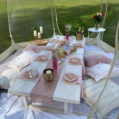 A beautifully arranged outdoor picnic setup with a long table, cushions, flowers, and elegant tableware.