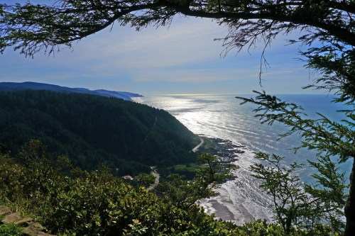 A scenic coastal view with rolling hills, a shimmering ocean, and a clear sky framed by tree branches.