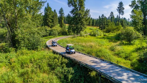 Two golf carts drive along a wooden path through lush greenery and trees on a sunny day.