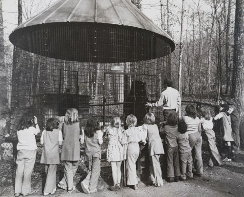 A group of children watches a bear in a cage at a zoo, surrounded by trees in a black-and-white photo.