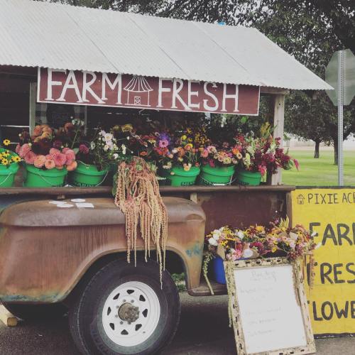A rustic flower stand with colorful blooms in green buckets, under a sign that reads "Farm Fresh."