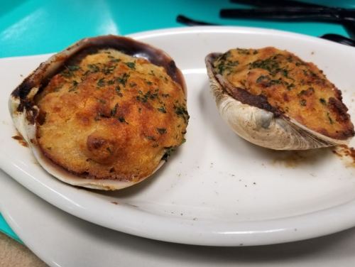 Two baked stuffed clams on a white plate, topped with breadcrumbs and herbs, with a golden-brown crust.