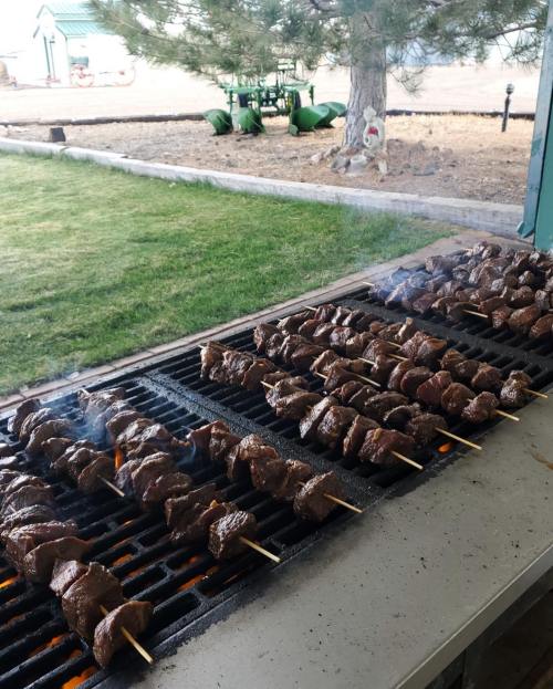 Grilled skewers of meat cooking on a barbecue, with smoke rising and a green lawn in the background.