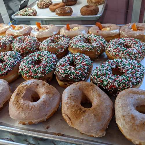 A tray of assorted donuts, some decorated with colorful sprinkles and others with a cinnamon sugar coating.