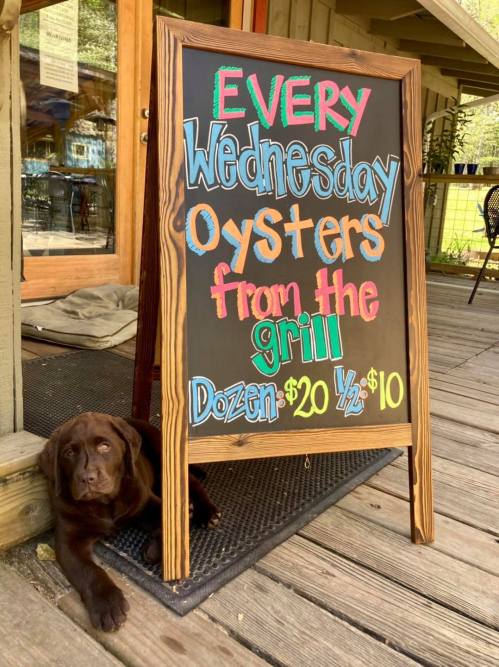 A chalkboard sign advertising grilled oysters on Wednesdays, with a brown dog resting beside it on a wooden porch.