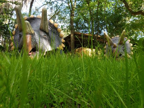 Two dinosaur sculptures partially hidden in tall grass, surrounded by trees and greenery.