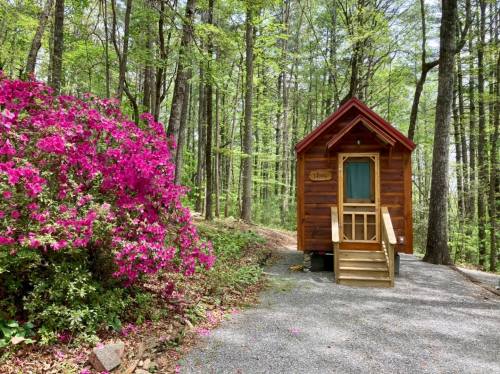 A small wooden cabin surrounded by lush green trees and vibrant pink flowers in a serene forest setting.