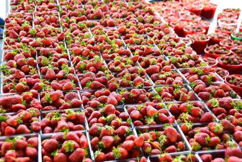 A vibrant display of fresh strawberries in clear containers at a market, creating a colorful and inviting scene.