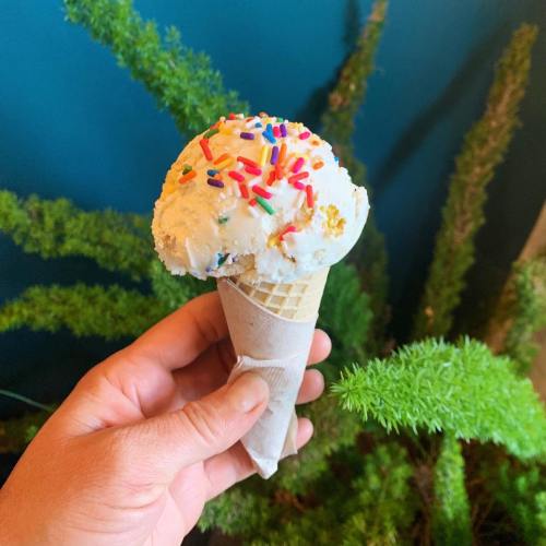 A hand holding an ice cream cone topped with colorful sprinkles, set against a green background with plants.