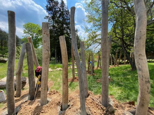 A worker stands among tall, uneven wooden posts in a grassy area, with trees and a blue sky in the background.