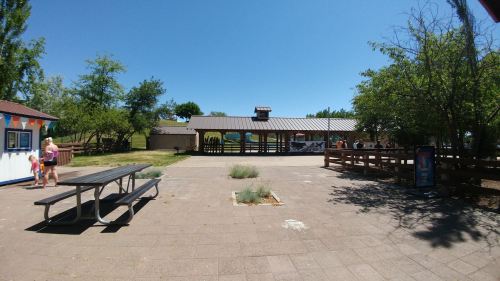 A sunny park area with a picnic table, a shelter, and people gathered near a building in the background.