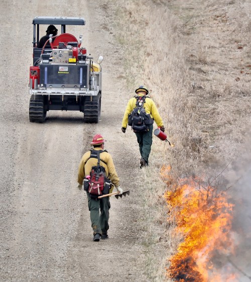 Firefighters in yellow gear work along a dirt road, battling a brush fire with tools and equipment.