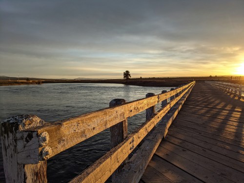 A weathered wooden pier extends over calm water, with a sunset illuminating the horizon and a tree in the distance.