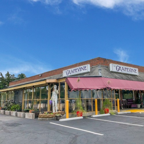 A charming restaurant called "The Grapevine" with outdoor seating and a welcoming entrance under a blue sky.
