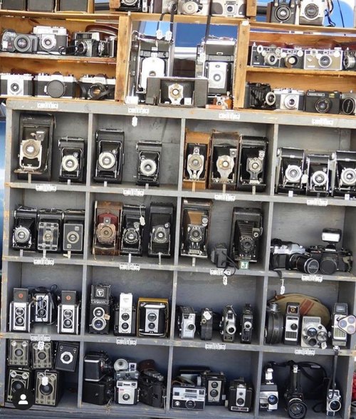 A display of various vintage cameras arranged on shelves, showcasing different styles and designs.