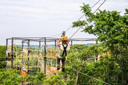 A person in a helmet zips across a cable, surrounded by trees and an adventure park in the background.