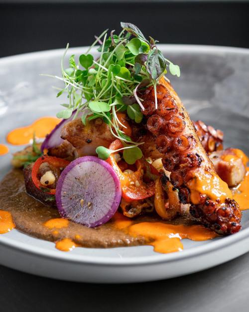 Grilled octopus atop a rich sauce, garnished with microgreens, red onion, and colorful peppers on a stylish plate.