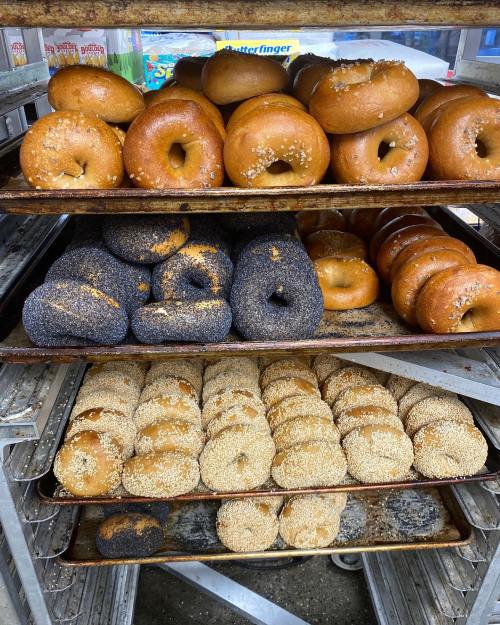 A display of freshly baked bagels in various flavors, including plain, sesame, and poppy seed, on metal trays.