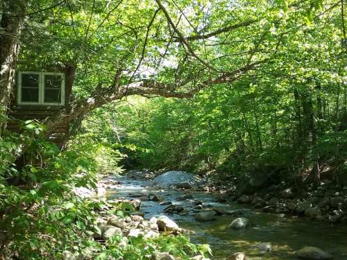 A serene stream flows through a lush green forest, with a treehouse nestled among the branches above.