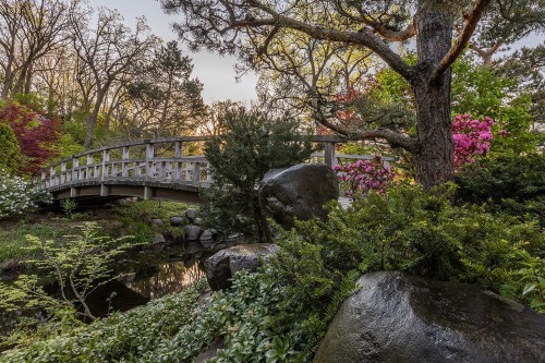A serene garden scene featuring a wooden bridge, lush greenery, colorful flowers, and a tranquil pond.