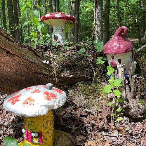 Colorful miniature mushroom houses nestled among moss and leaves in a forest setting.