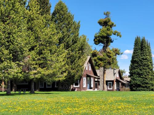 A sunny landscape featuring log cabins surrounded by tall trees and a field of yellow flowers.