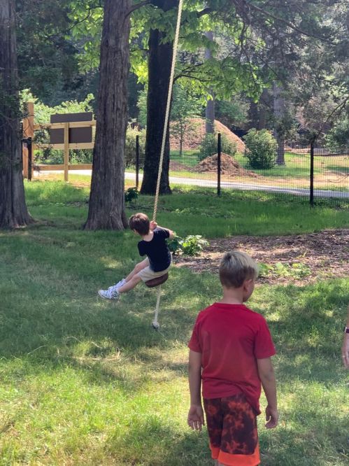A child swings on a rope tied to a tree while another child stands nearby in a grassy area.